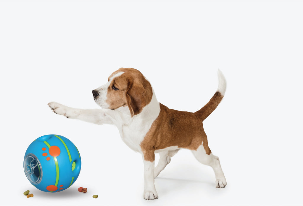 Wobble Wag Giggle Treat Ball, Interactive Dog Toy & Treat Dispenser, Blue
